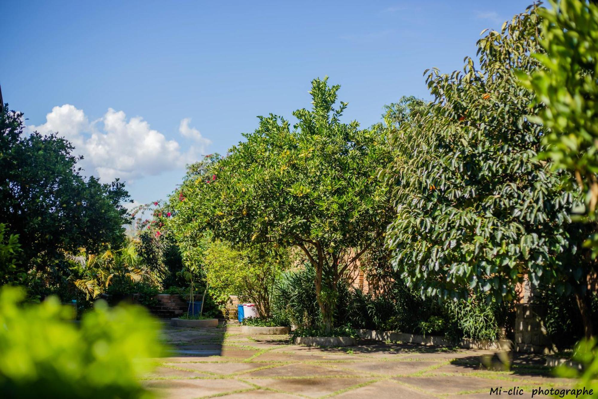 Manga Blue'S Guest House Fianarantsoa Buitenkant foto